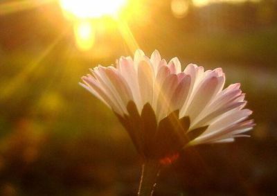 通用版全民阅读倡议书范文四篇