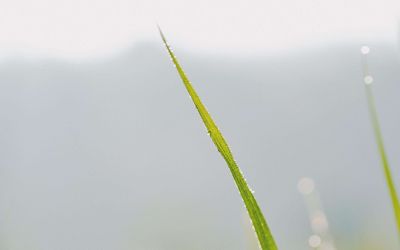 传统节日清明节作文热门范文四篇