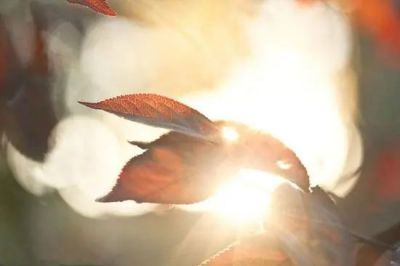 《不抱怨的世界》读后感集锦范文9篇