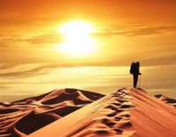 《养花》读后感优秀范文7篇