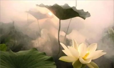 有关《乡土中国》读后感范文10篇