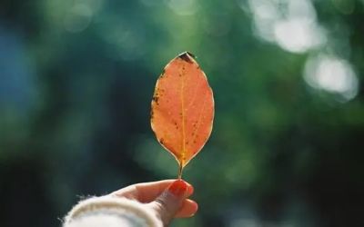 诚信的人作文推荐6篇