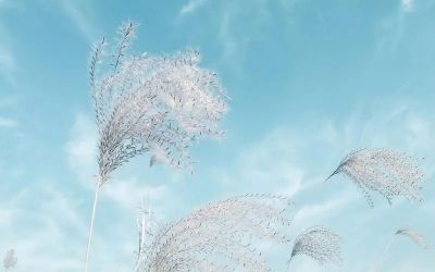 热门版《不抱怨的世界》读后感范文8篇