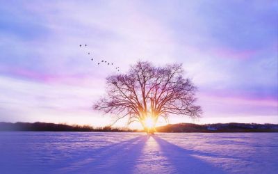 春游活动个人策划书范文