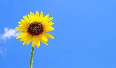 《云边有个小卖部》读后感精选范文6篇