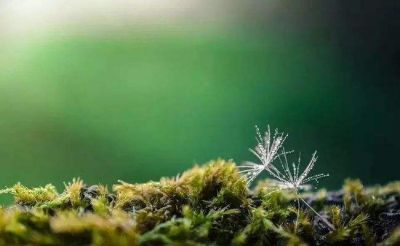 《雷锋日记》读后感集锦范文13篇