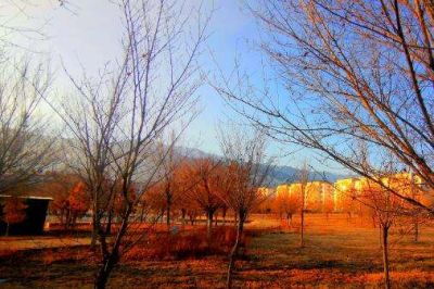 高中政治课教学反思6篇