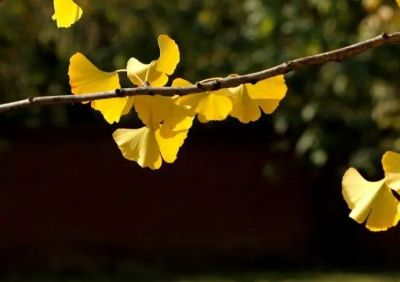 观看榜样7观后感精选7篇