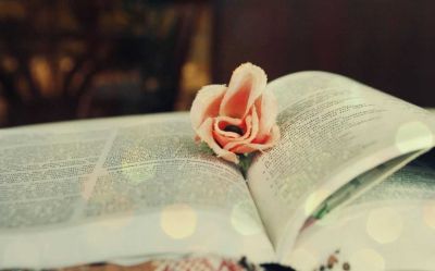 班主任培训心得体会精选范文3篇