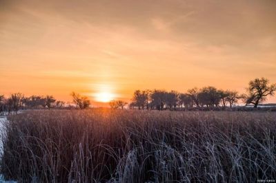《羊脂球》读后感优秀范文3篇