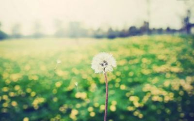 高一化学教师教学工作计划5篇