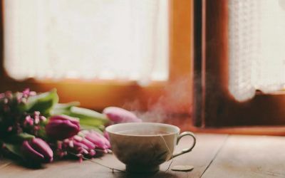 热门版师范毕业生求职信范文三篇