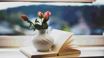 热门版公益活动策划书范文3篇